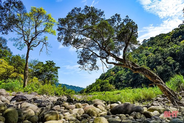 Vu Quang National Park receives ASEAN Heritage Park certificate