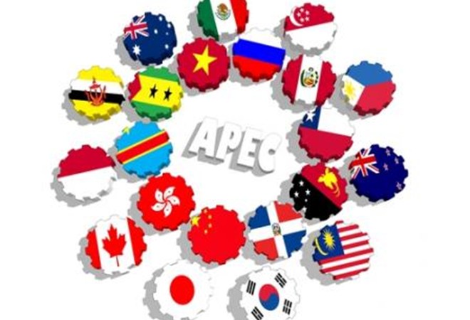 Vietnam pushes APEC initiatives