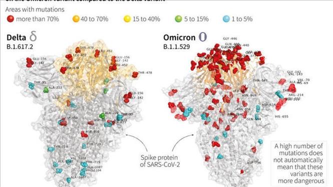 Sub-lineage Of Omicron Variant Spreads To 40 Countries