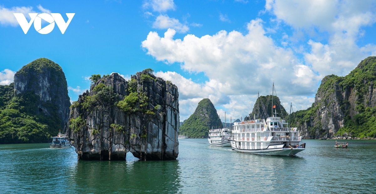 Vietnam’s tourism rebounds, with foreign arrivals beating prepandemic level Vietnam’s tourism rebounds, with foreign arrivals beating prepandemic level