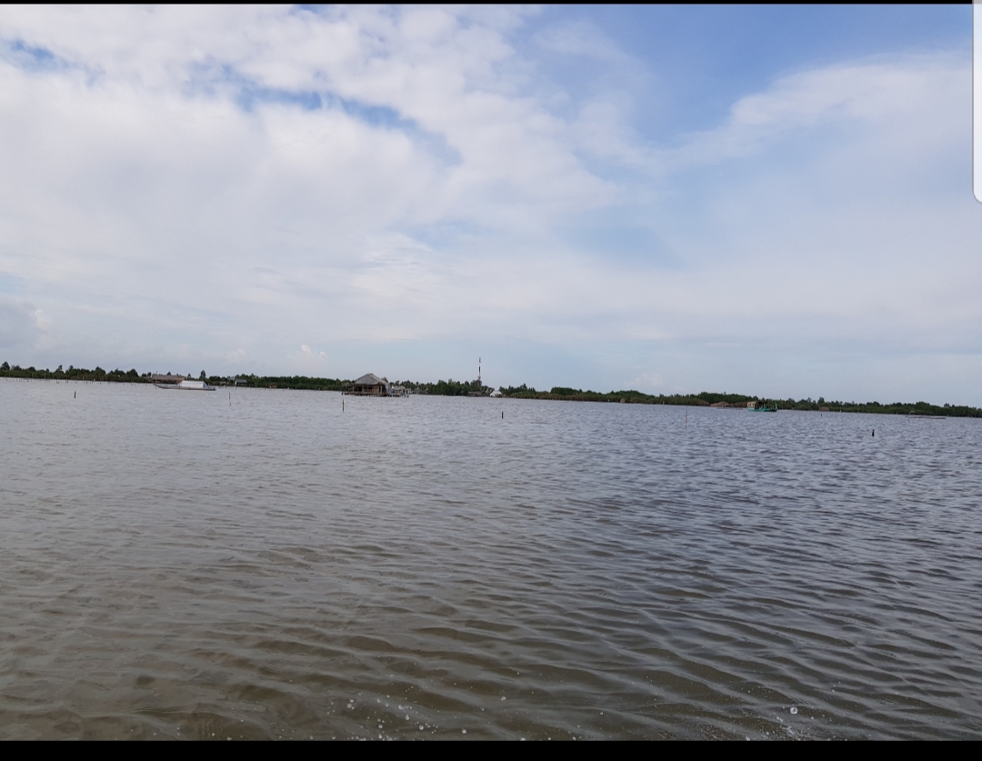 Thi Tuong lagoon – a major tourist attraction in Ca Mau province