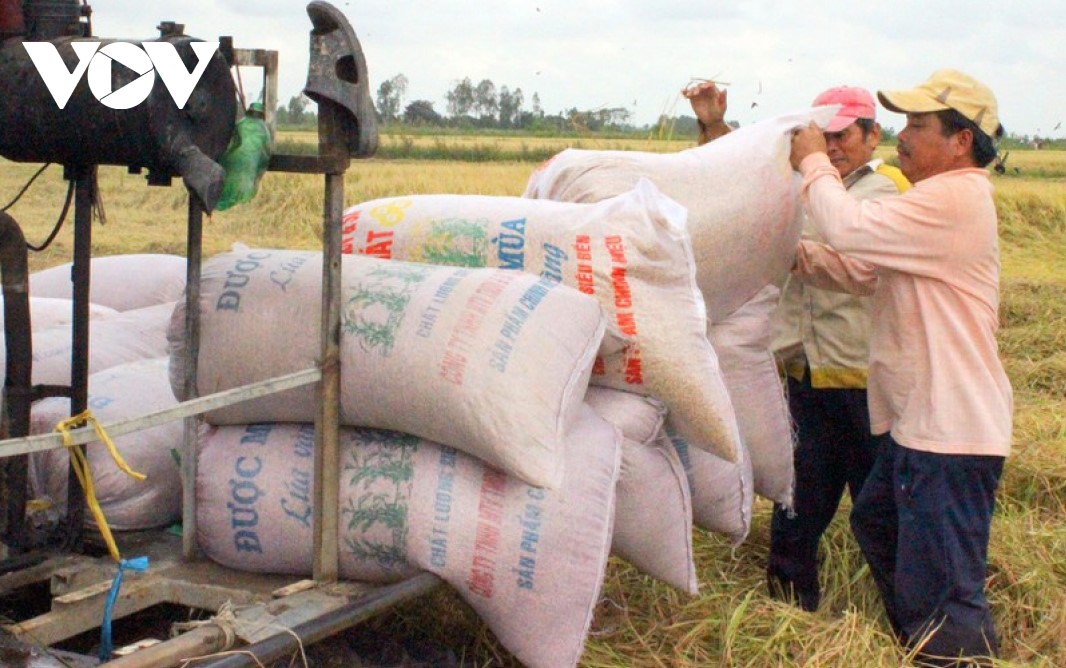 Vietnam exports 6 million tons of rice in 2020