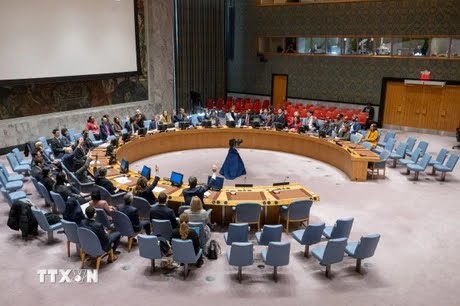 Security Council considers Palestinian application for full UN membership